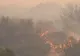 Un incendiu de proporţii a izbucnit la o pădure din judeţul Vaslui