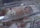 O fetiţă de 6,4 kilograme s-a născut la maternitatea din Arad 