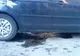 Accident la Bacău
