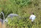 Accident de tren la Oradea