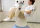 Ursul robot va înlocui asistenţii medicali din spitale