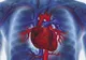 Persoanele care au coapse groase au un risc mai scăzut de boli cardiovasculare