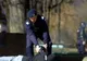 Poliţia a destructurat peste 800 de grupări infracţionale în primele opt luni ale anului