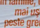 Filialele PD-L trebuie să anunţe la centru dacă vor să continue parteneriatul cu PSD