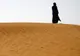 Cum se poate transforma Sahara într-o mare pădure