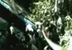 Tragedie rutieră în Peru. Un autocar cu elevi şi profesori a căzut într-o prăpastie