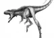 Strămoşul înfricoşătorului T-Rex era un dinozaur foarte mic. GALERIE FOTO