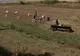 Moţii şi-au scos la vâzare terenurile