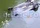 Un autoturism s-a răsturnat în Jiu din cauza vitezei excesive