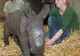 Un pui de rinocer, crescut de îngrijitorii de la zoo Munster