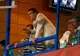 Becali: "Dacă o să dau Steaua fanilor, se va alege praful! Echipa costă 500.000 de euro pe lună"