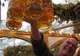 Un austriac spune că cheltuieşte 5.000 de euro pe bere şi cârnaţi, la Oktoberfest
