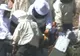 Victimele unui accident rutier din Turcia, atacate de sute de albine 