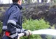 Circulaţie restricţionată pe autostrada Bucureşti-Piteşti din cauza unui incendiu de vegetaţie