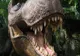 Cel mai mare T. Rex descoperit până acum, Sue, a fost ucisă de un parazit care traieşte şi astăzi