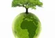 Elevii ar putea studia ecologia ca materie facultativă