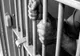 24 de persoane aflate în penitenciar merg la facultate anul acesta