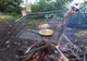 Grătarele de lângă bloc vor fi interzise prin Legea picnicului. Cum comentaţi?