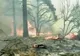 Un nou incendiu de vegetaţie ameninţă California