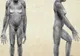 Un program Discovery Channel în exclusivitate  prezintă descoperiri revoluţionare despre evoluţia omului