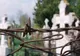 Primăria Galaţi nu le mai dă loc de veci decât bolnavilor cronic, pentru că cimitirele sunt pline