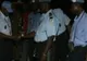 11 oficiali ONU şi-au pierdut viaţa într-un accident aviatic, în Haiti