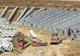 Viitorul stadion Naţional din Capitală va avea acoperiş retractabil