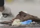 Autorul atacului din Milano ar fi acţionat singur, potrivit autorităţilor