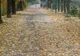 Răcirea vremii continuă în toată ţara. VEZI AICI PROGNOZA METEO