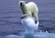 Omenirea are 50% şanse să scape de efectele catastrofice ale încălzirii globale