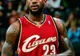 Baschet - Lebron James este suspect de gripă porcină