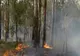 Sute de pompieri australieni se luptă cu incendiile izbucnite în New South Walea şi Queensland