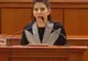 Deputaţii ar trebui să discute rapoartele Udrea şi Ridzi şi un dosar al lui Adrian Năstase