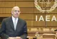 Negocierile cu Iranul de la Viena progresează mai lent decât s-a prevăzut, spune ElBaradei