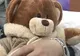 Un copil de opt ani bolnav de leucemie are nevoie urgentă de transplant 