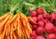 Suprafaţa cultivată cu fructe şi legume ecologice a crescut în 2009