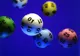 Premiul cel mare la Loto 6/49, în valoare de peste 5,3 milioane euro, nu a fost câştigat. VEZI NUMERELE EXTRASE