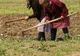 Agricultorii şi fermierii din Vrancea, la un pas de faliment