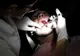 Cele mai mari fobii ale oamenilor: păienjeni, avioane, dentişti