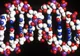 Justiţia italiană a redus pedeapsa unui criminal pentru că e "predispus genetic" la un comportament agresiv