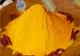 Şofranul indian omoară celulele canceroase