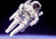 NASA a început să experimenteze din nou pe maimuţe