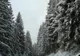 În Poiana Braşov stratul de zăpadă măsoară peste 5 centimetri 