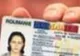 Peste 20.000 de persoane au primit cetăţenia română de la începutul anului 