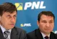Stavarache: PNL va cere repetarea alegerilor dacă se va dovedi că sunt nereguli semnificative la vot