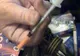 Poliţiştii din Timiş au descoperit opt kilograme de heroină într-o maşină oprită pentru control