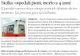 Victimă a unui accident, un băieţel român a murit în Italia, după ce a fost plimbat prin trei spitale
