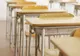 Mai mulţi elevi din ţară au fost depistaţi cu gripă porcină