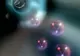 Acceleratorul de particule, LHC, s-a defectat din cauza unei bucăţi de pâine