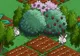 Fermierii epocii online: FarmVille, jocul care a acaparat internauţii români